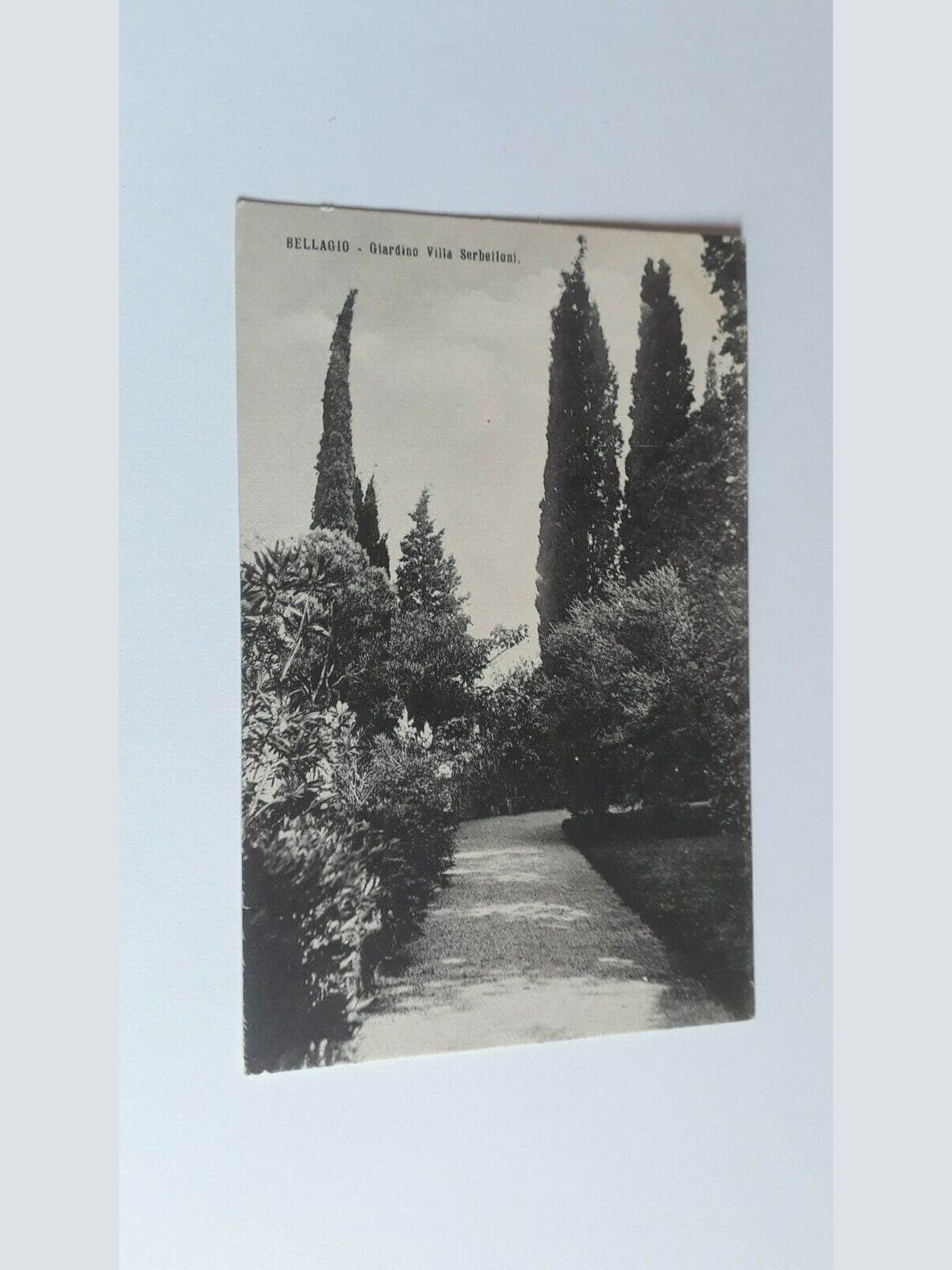 Bellagio - Giardino Villa Serbeiloni.20256