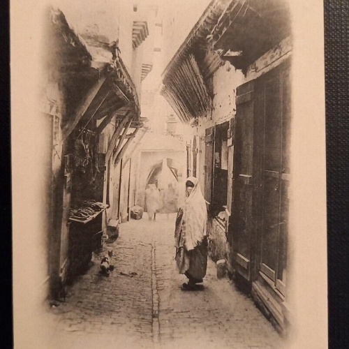 N 139 Alger Rue Arabe 800042 Ga E