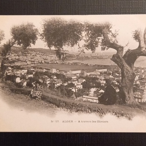 N 57 Alger A Travers Les Oliviers 800048 Ga E