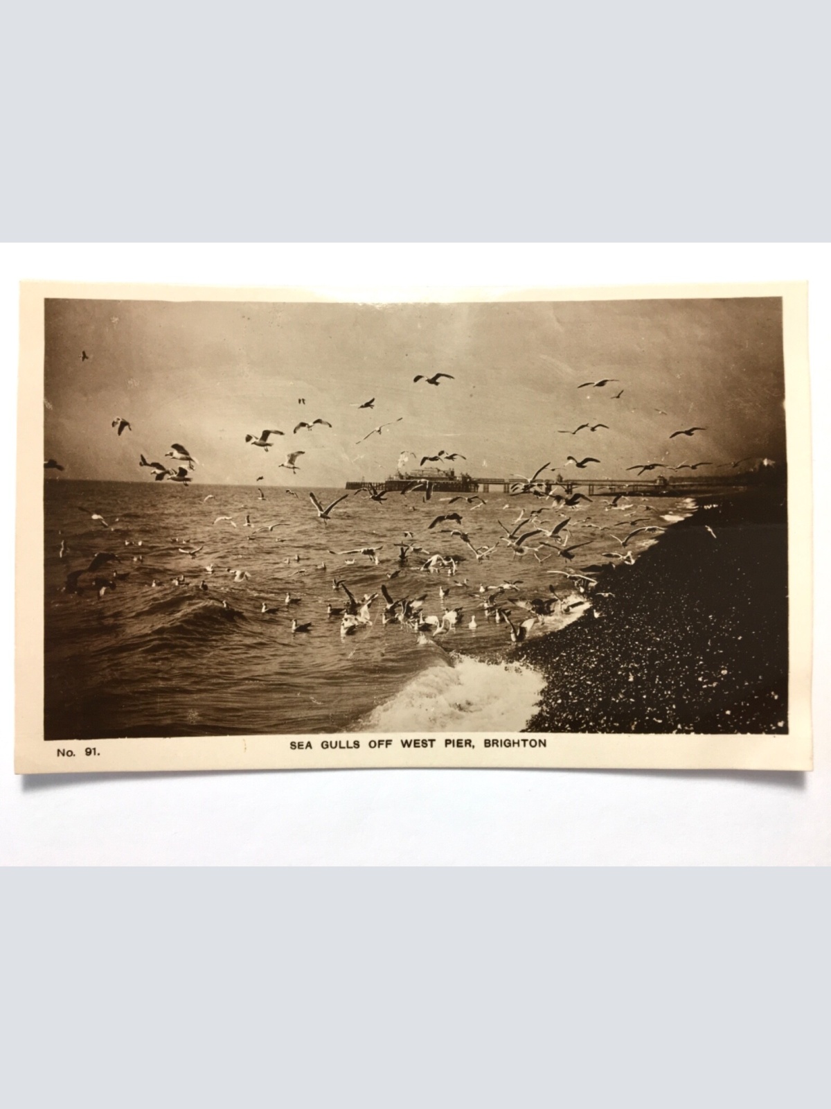Brighton - Sea Gulls off West Pier - Seevögel - England 40230 TH