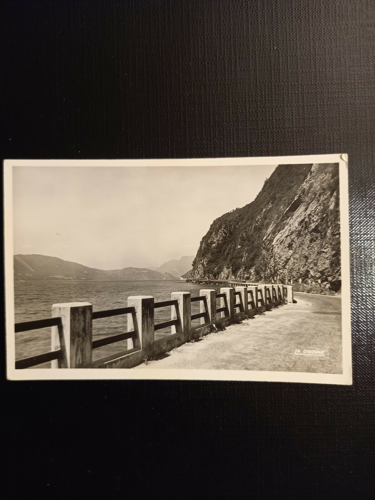 Lac du Bourget 400084 gr