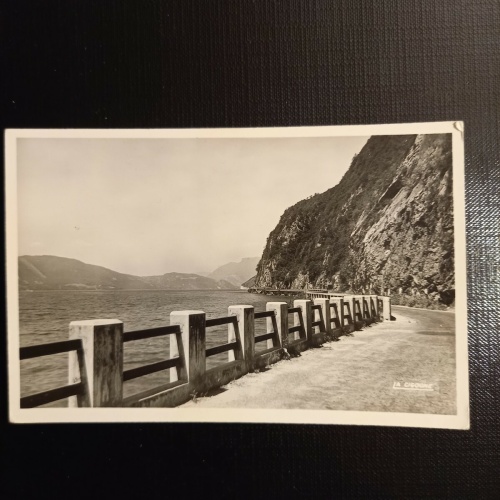 Lac du Bourget 400084 gr