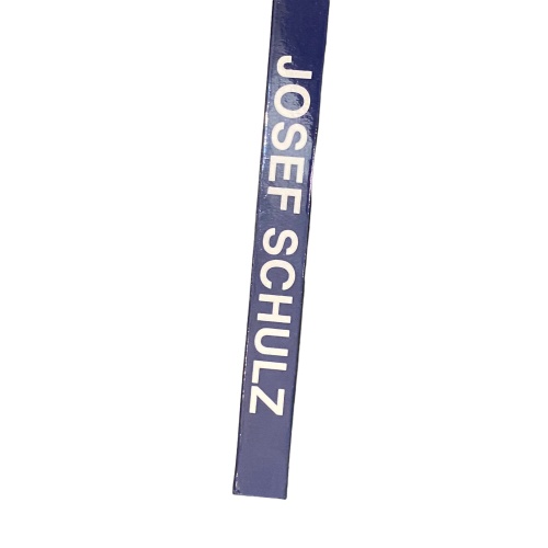 4561 Albin Rohrmoser DER MALER JOSEF SCHULZ 1893-1973 HC +Abb