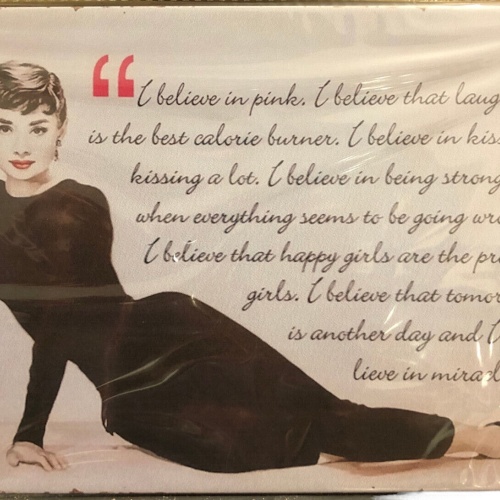 Nostalgie Vintage Retro Blechschild "Audrey Hepburn" 30x20    900209