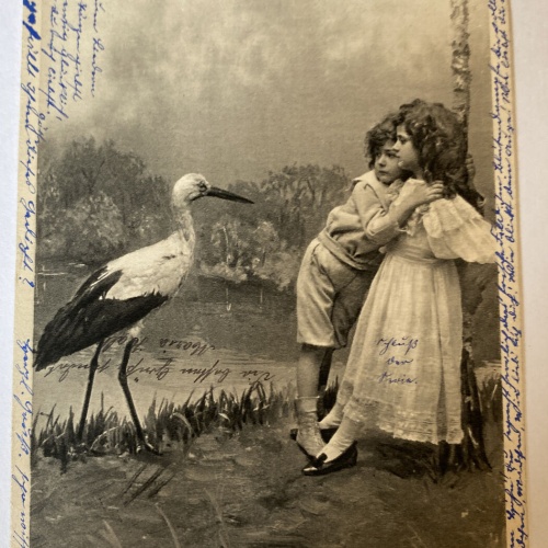 Kinder Junge und Mädchen am See Storch um 1907  84027
