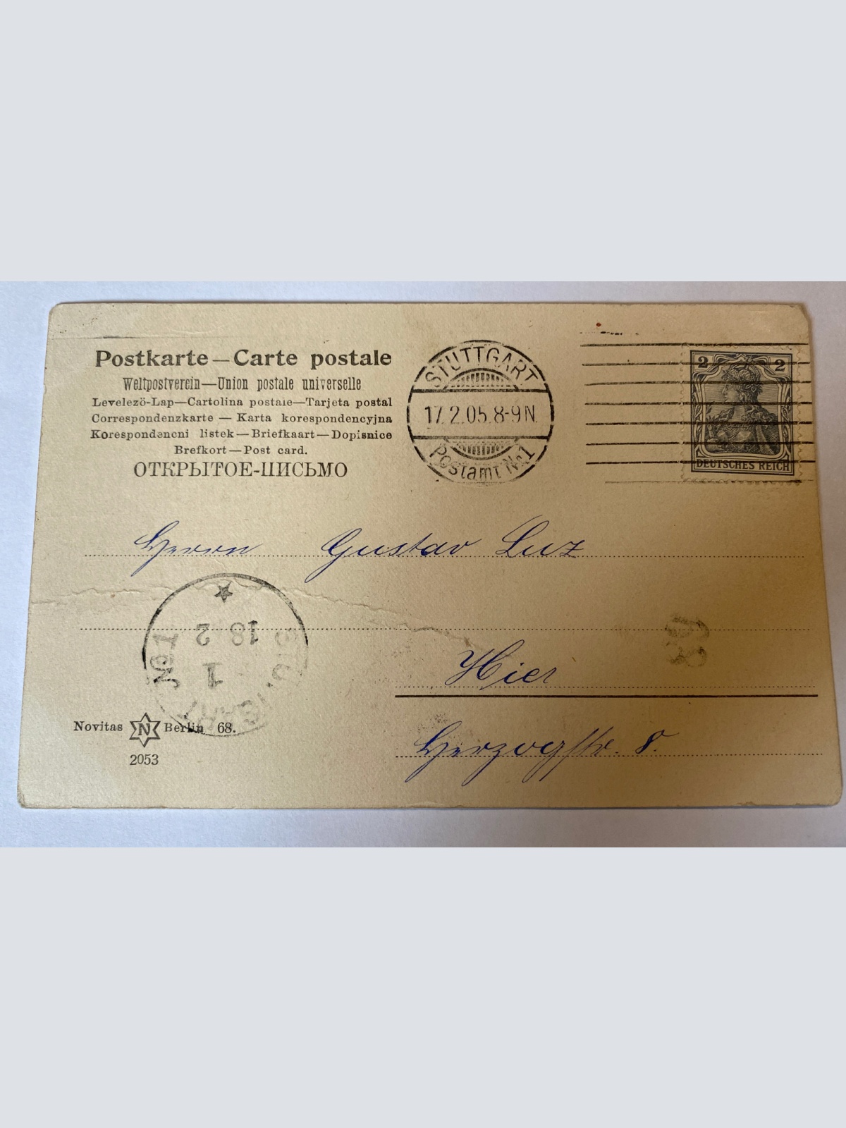 Kinder Junge und Mädchen am See Storch um 1907  84027