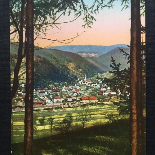 Oppenau - Blick auf Ort - Baden-Württemberg Deutschland 400412