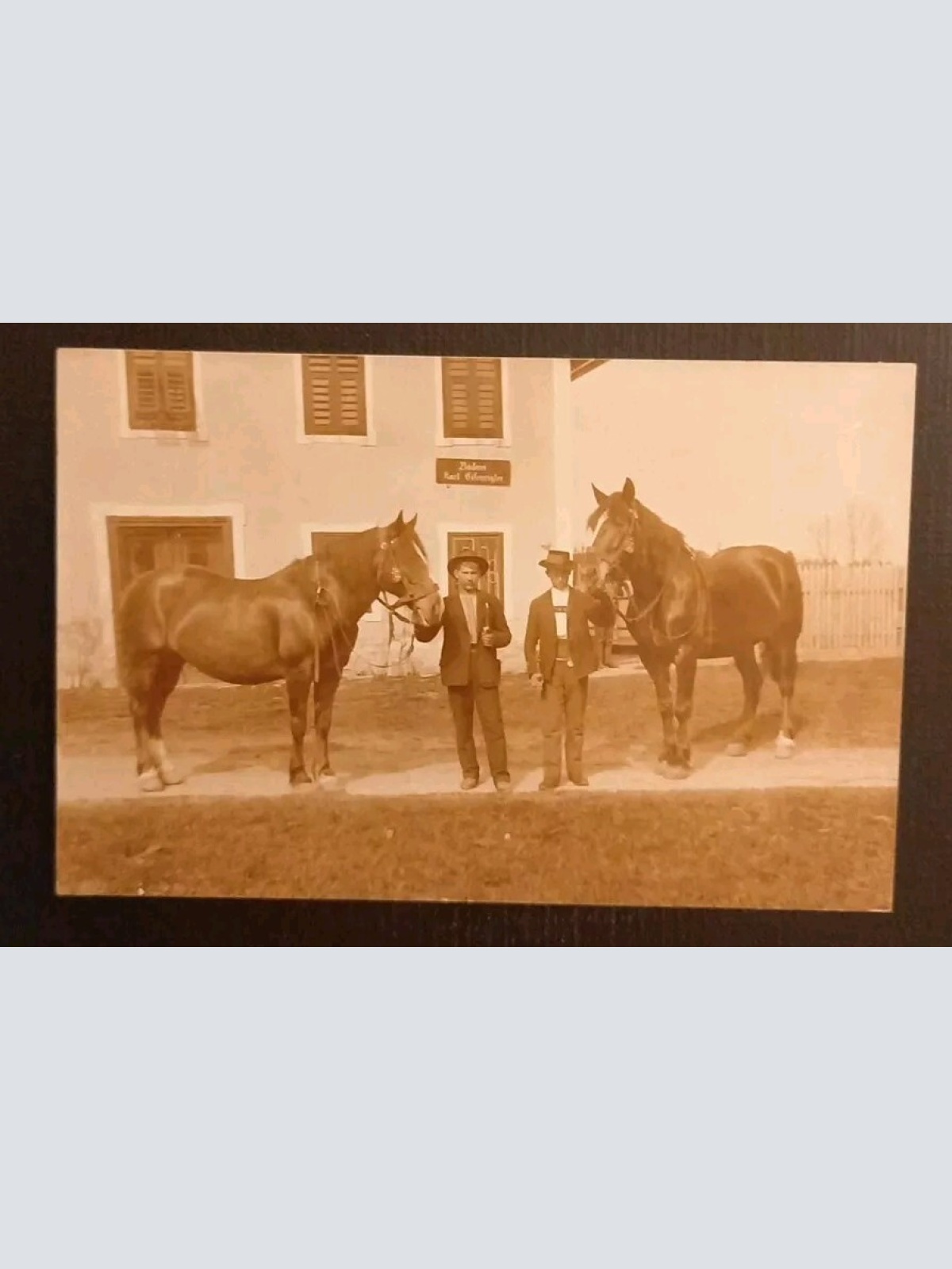 Salzburg Pferde Brauerei 600652A gr K