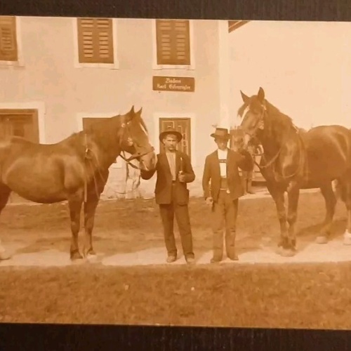 Salzburg Pferde Brauerei 600652A gr K