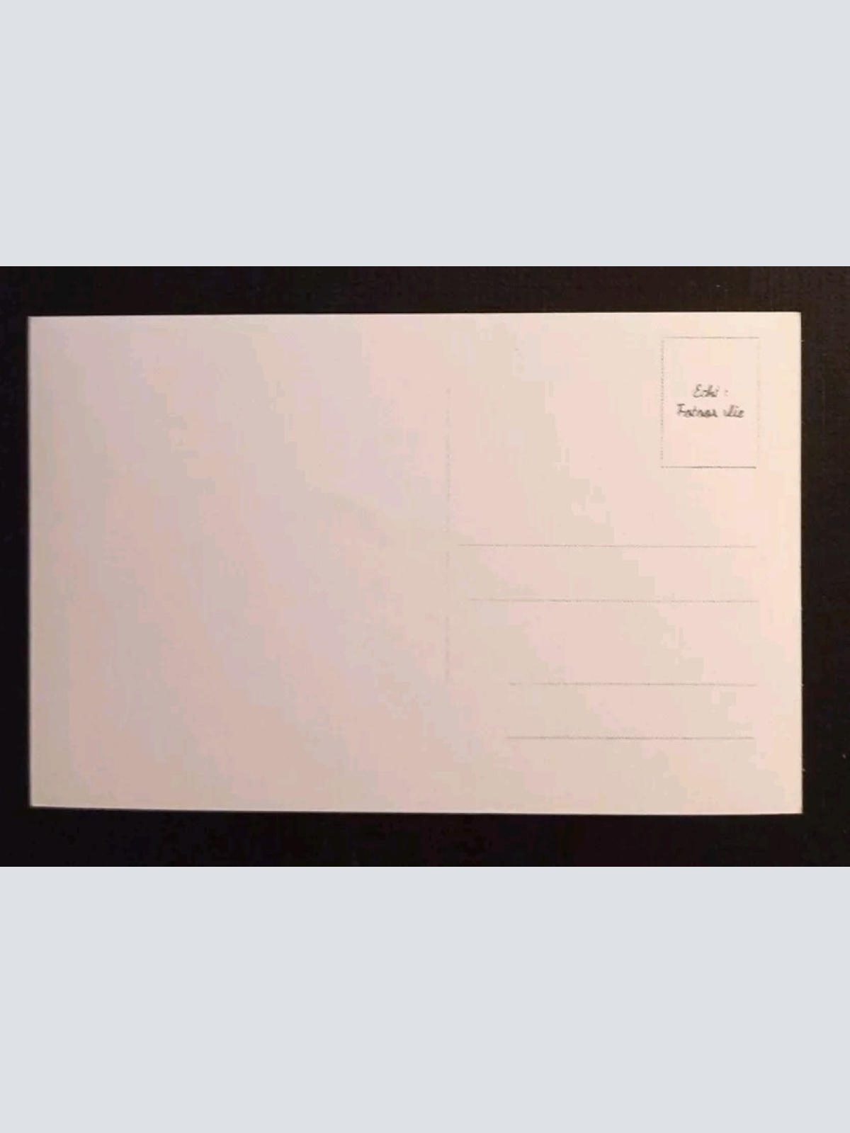 Salzburg Möwen An Der Salzach Festung 600208A gr K