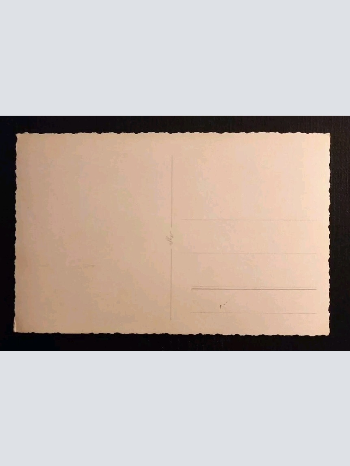 Salzburg Mirabellgarten Pferd 165338 gr K