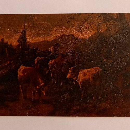 Kühe  mit Senn auf der Alm 600600A gr D