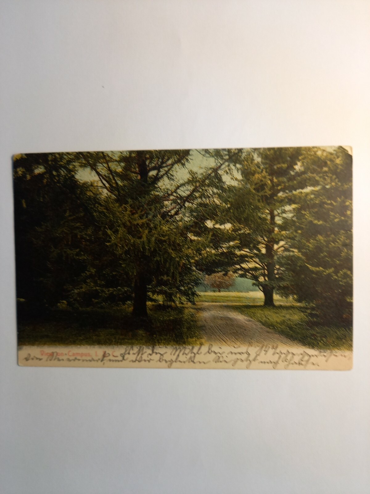 South Carolina View on Campus 85183 GR