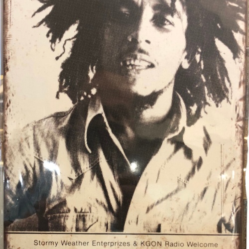 Nostalgie Vintage Retro Blechschild "Bob Marley and the Wailer" 30x20    900213