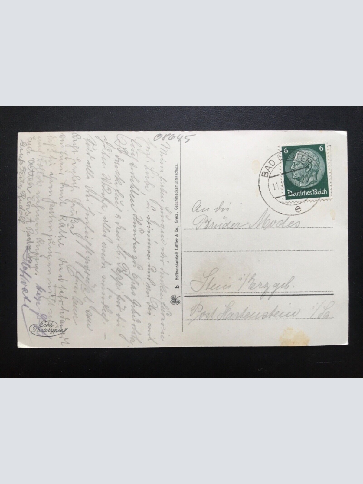 Bad Elster - Partie im Albertpark - Vogtlandkreis - Holzbrücke Schwäne 140435 TH