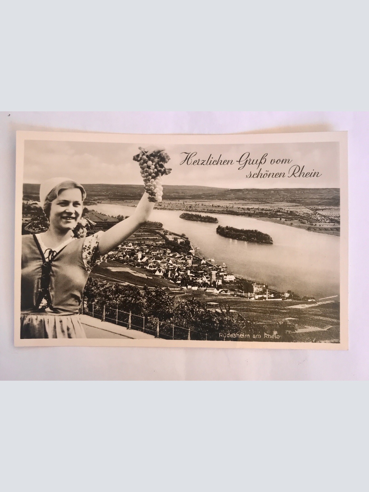 AK, Grußkarte, Rhein, Frau, Trauben, Rüdesheim (110227 Baw)