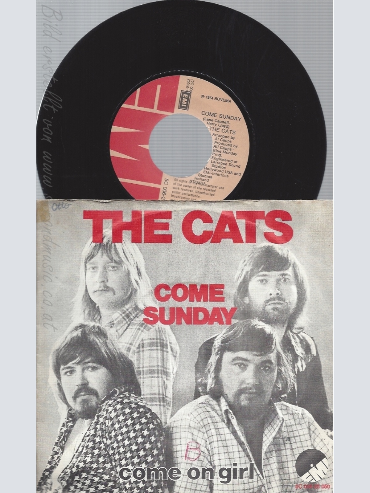 7" THE CATS-- COME SUNDAY