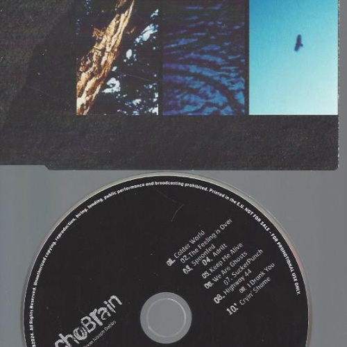 CD--ECHOBRAIN--SAME--PROMO10 TRACKS