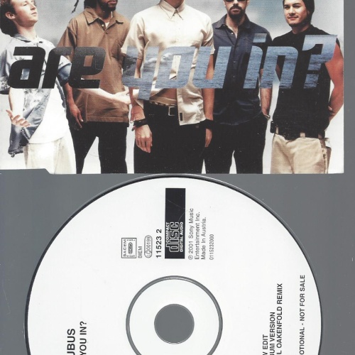 CD-INCUBUS ARE YOU IN --PROMO