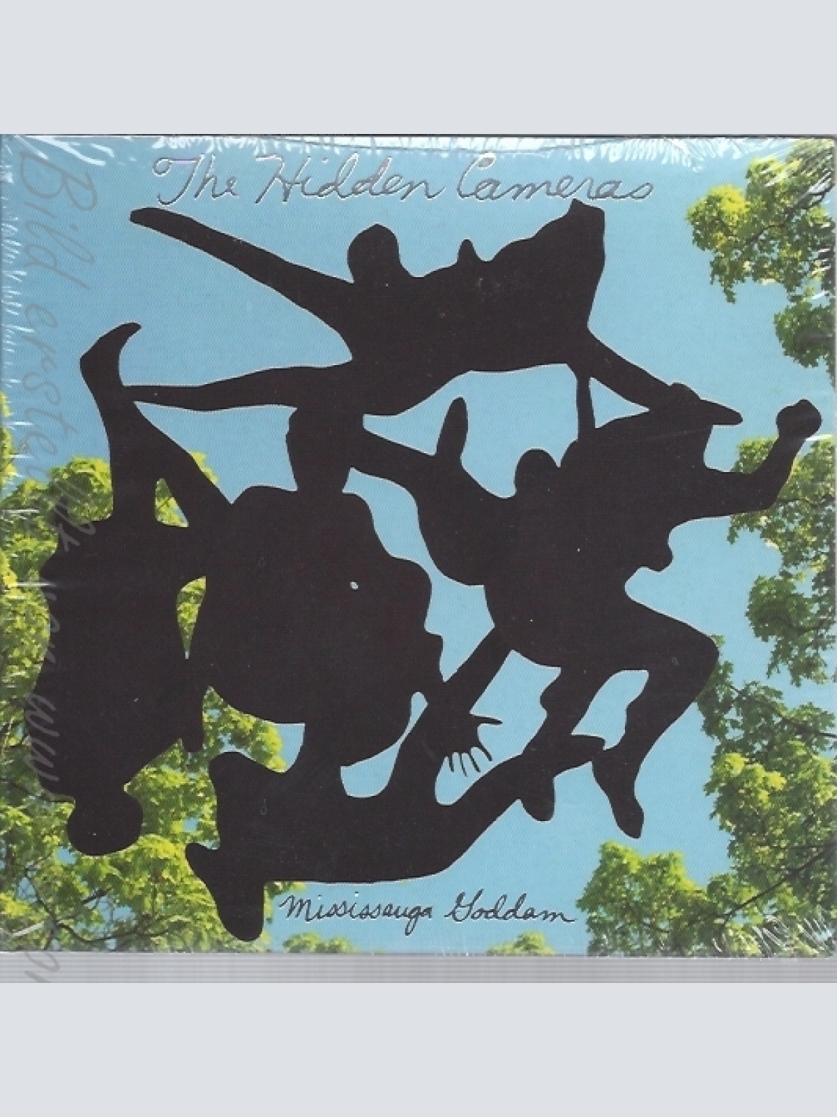 CD--HIDDEN CAMERAS -- -- MISSISSAUGA GODDAM