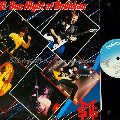 DLP--MSG  One Night At Budokan /MICHAEL SCHENKER GOUP