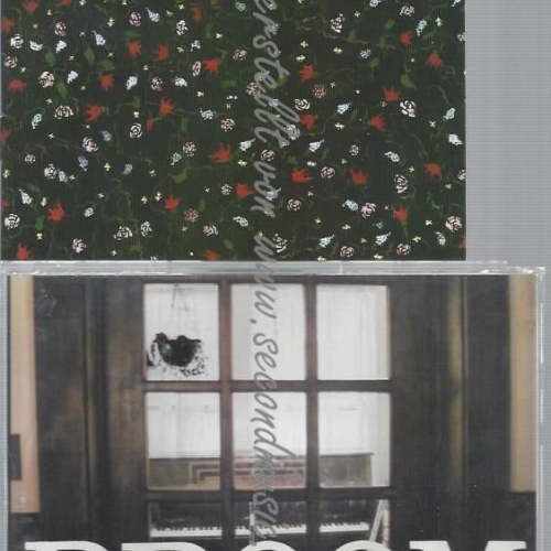 CD--SOMEONE STILL LOVES YOU BORIS YELTSIN--BROOM