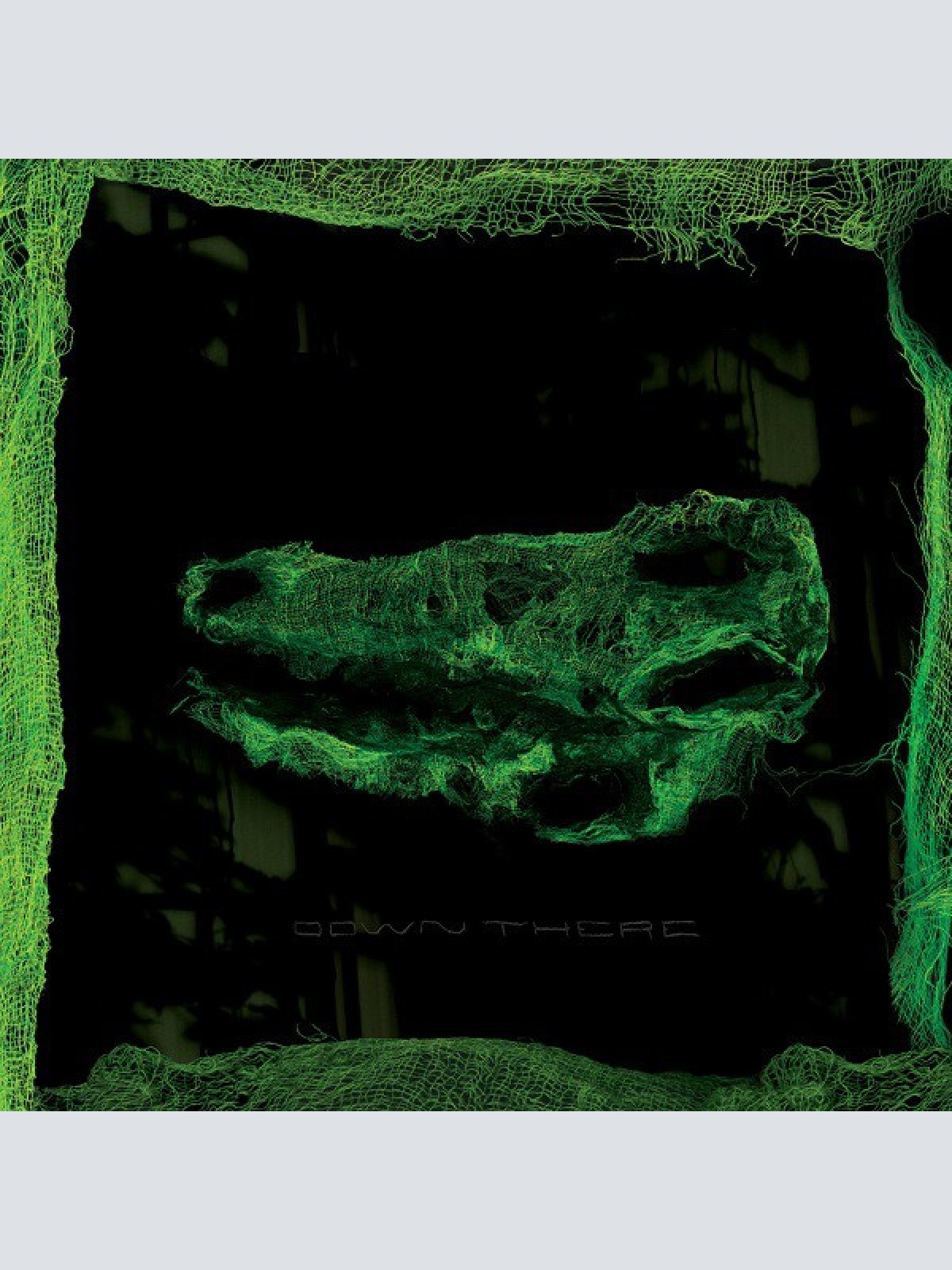 CD, Album Avey Tare - Down There