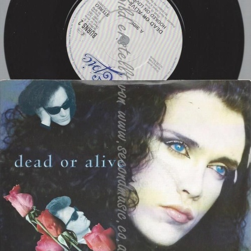 7"  Dead Or Alive  Hooked On Love
