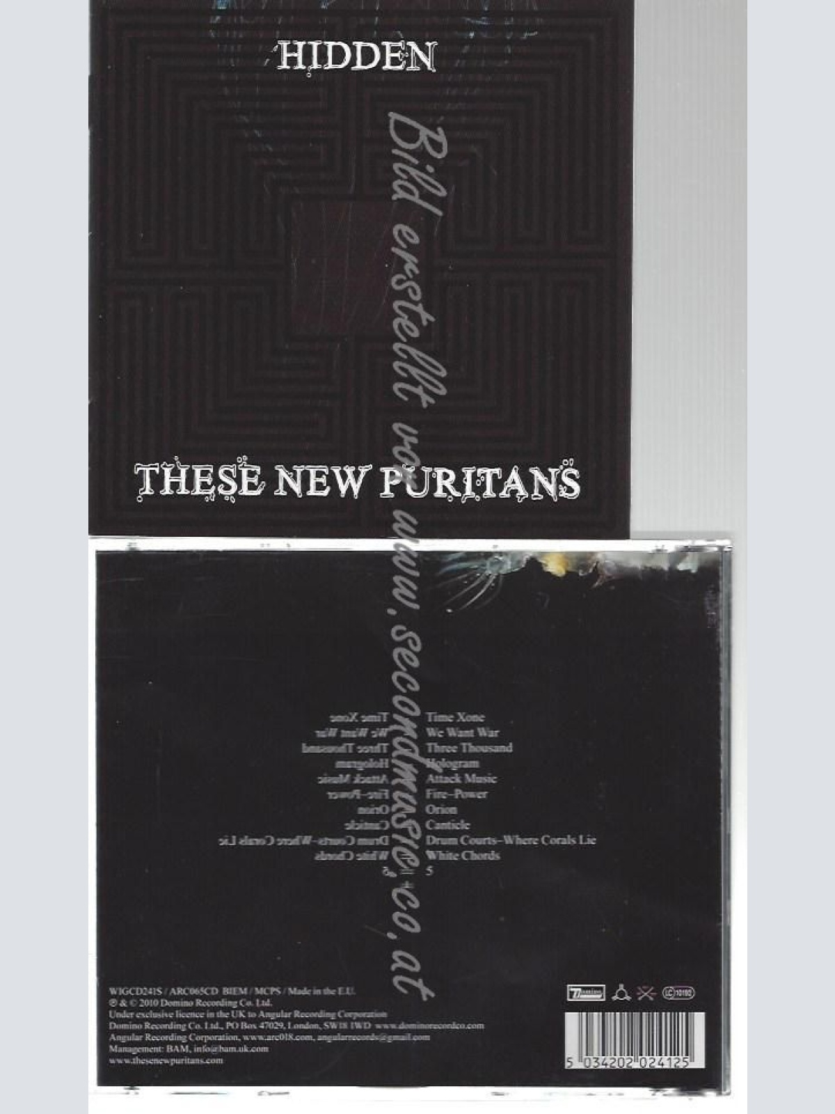CD--THESE NEW PURITANS--    HIDDEN