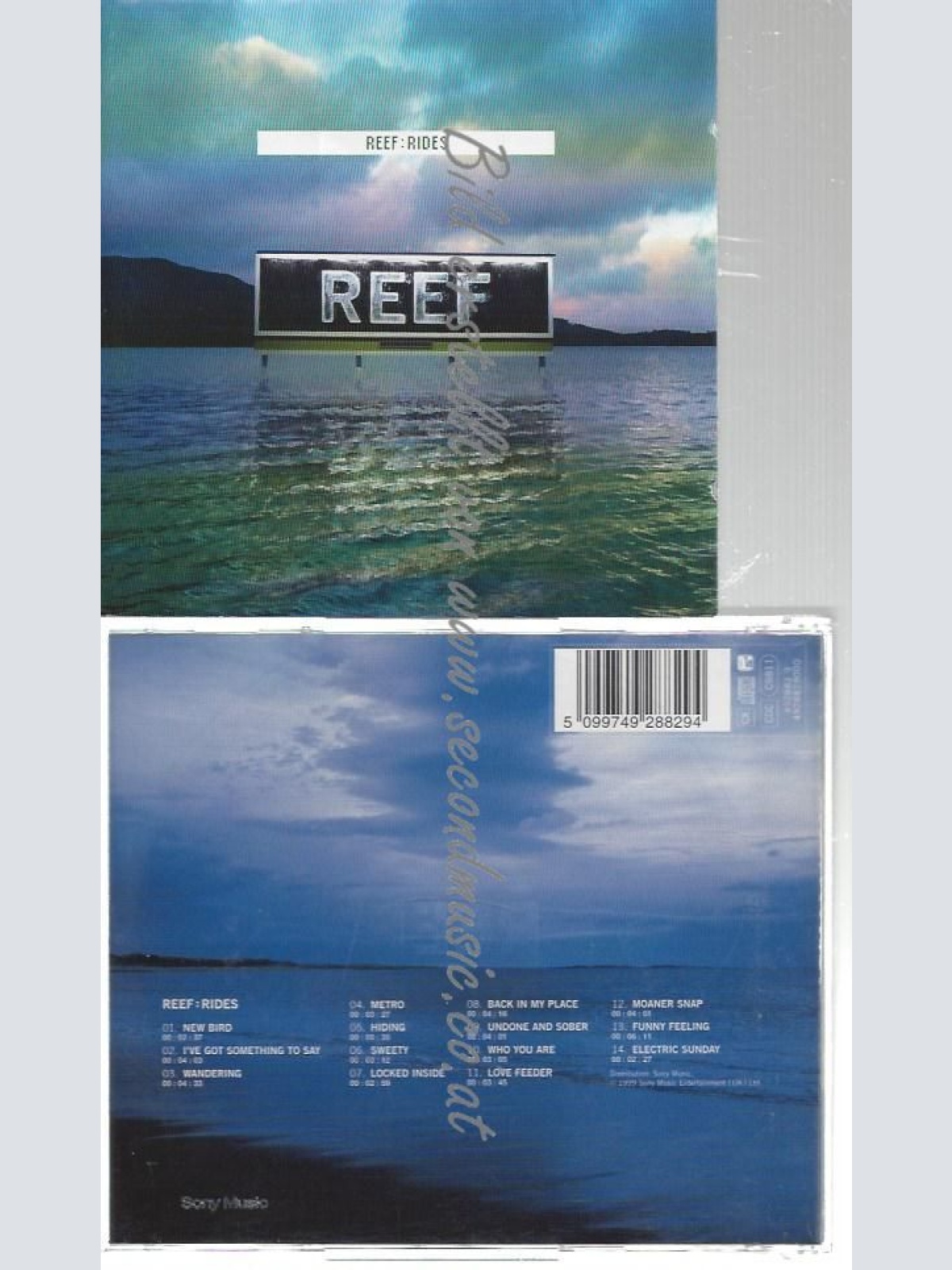 CD--REEF--    RIDES