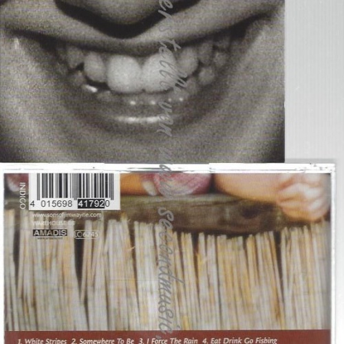 CD--SONS OF JIM WAYNE--    BEST MAKE UP IS A SMILE