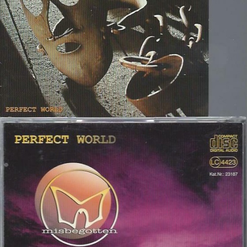 CD //  MISBEGOTTEN PERFECT WORLD