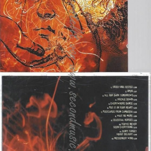 CD--COCKBURN,BRUCE | --YOU HAVE NEVER SEEN EVERYTHING