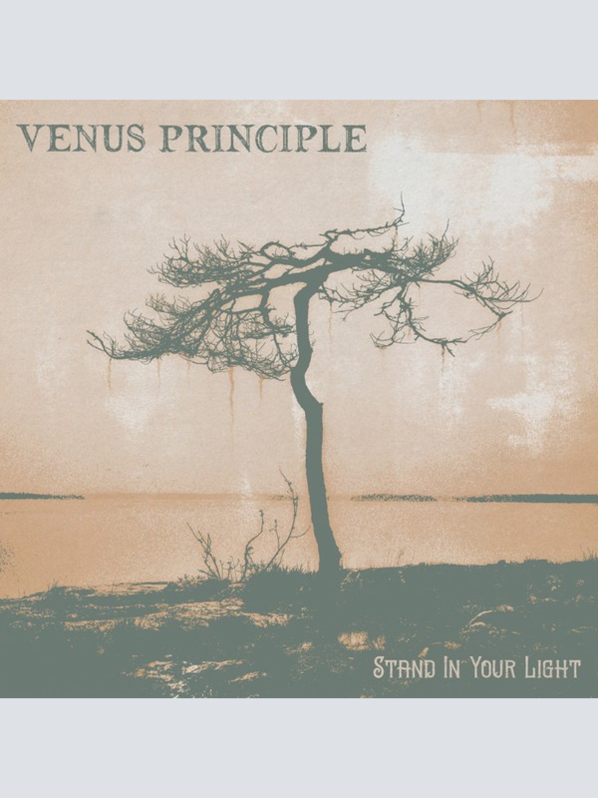 CD, Album, Dig Venus Principle - Stand In Your Light