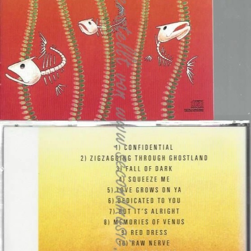 CD--THE RADIATORS | --ZIG-ZAGGIN' THROUGH GHOSTLAND