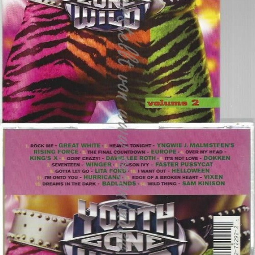 CD--HEAVY METAL HITS OF THE 'S: YOUTH GONE WILD - V2