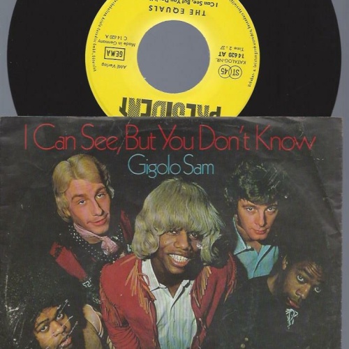 7"     The Equals  I Can See, But You Don't Know