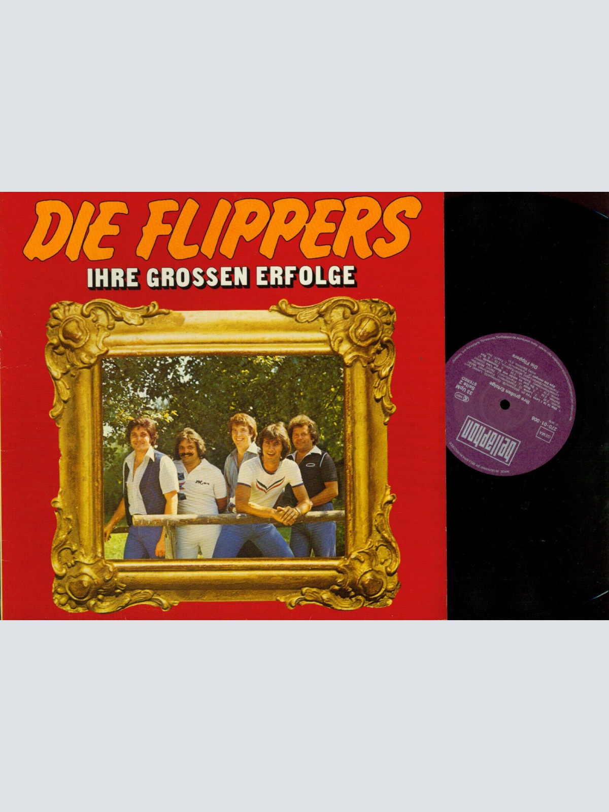 LP--    Die Flippers – Ihre Grossen Erfolge  // 27001008