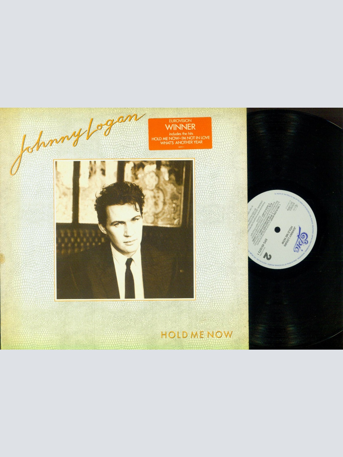 LP--Johnny Logan – Hold Me Now