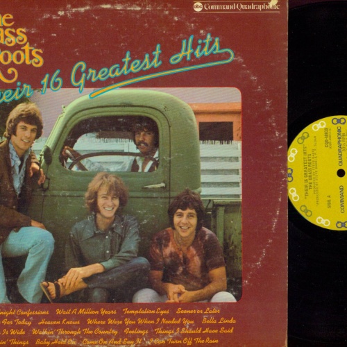 LP--The Grass Roots – Their 16 Greatest Hits //CQD40013 //US