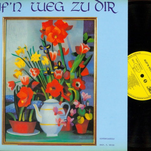 LP- Junge Köflacher Streich // Auf'n Weg Zu Dir  //NM