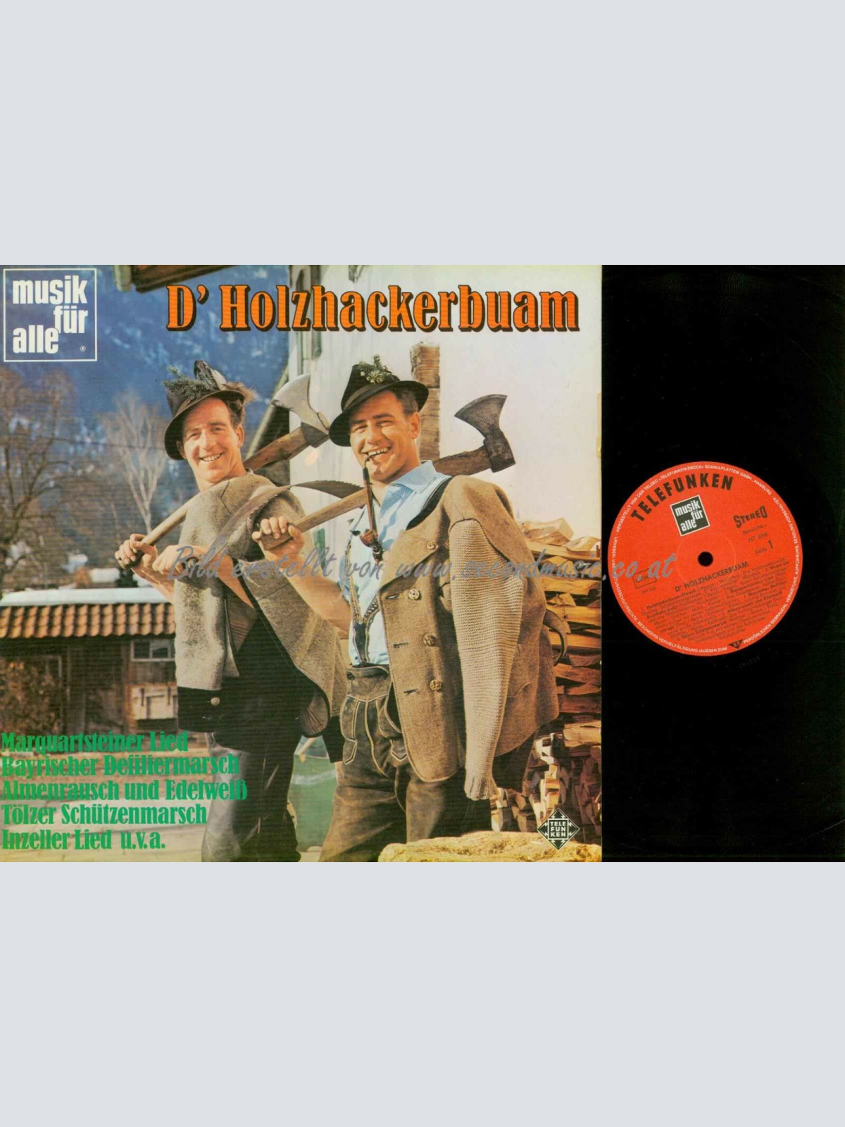 LP-- D' Holzhackerbuam   // NM