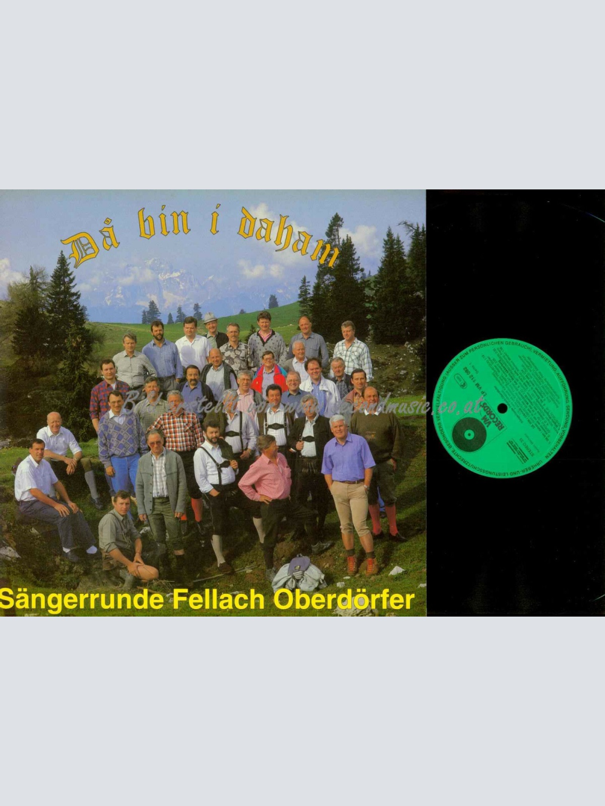 LP--  Sängerrunde Fellach-Oberdörfer  -- Da bin i daham  // NM