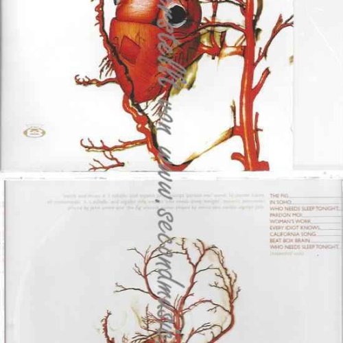 CD--Silicon Soul  --Pouti