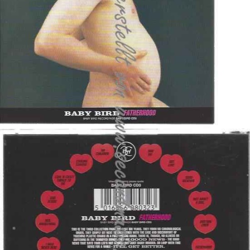 CD--Baby Bird  --Fatherhood
