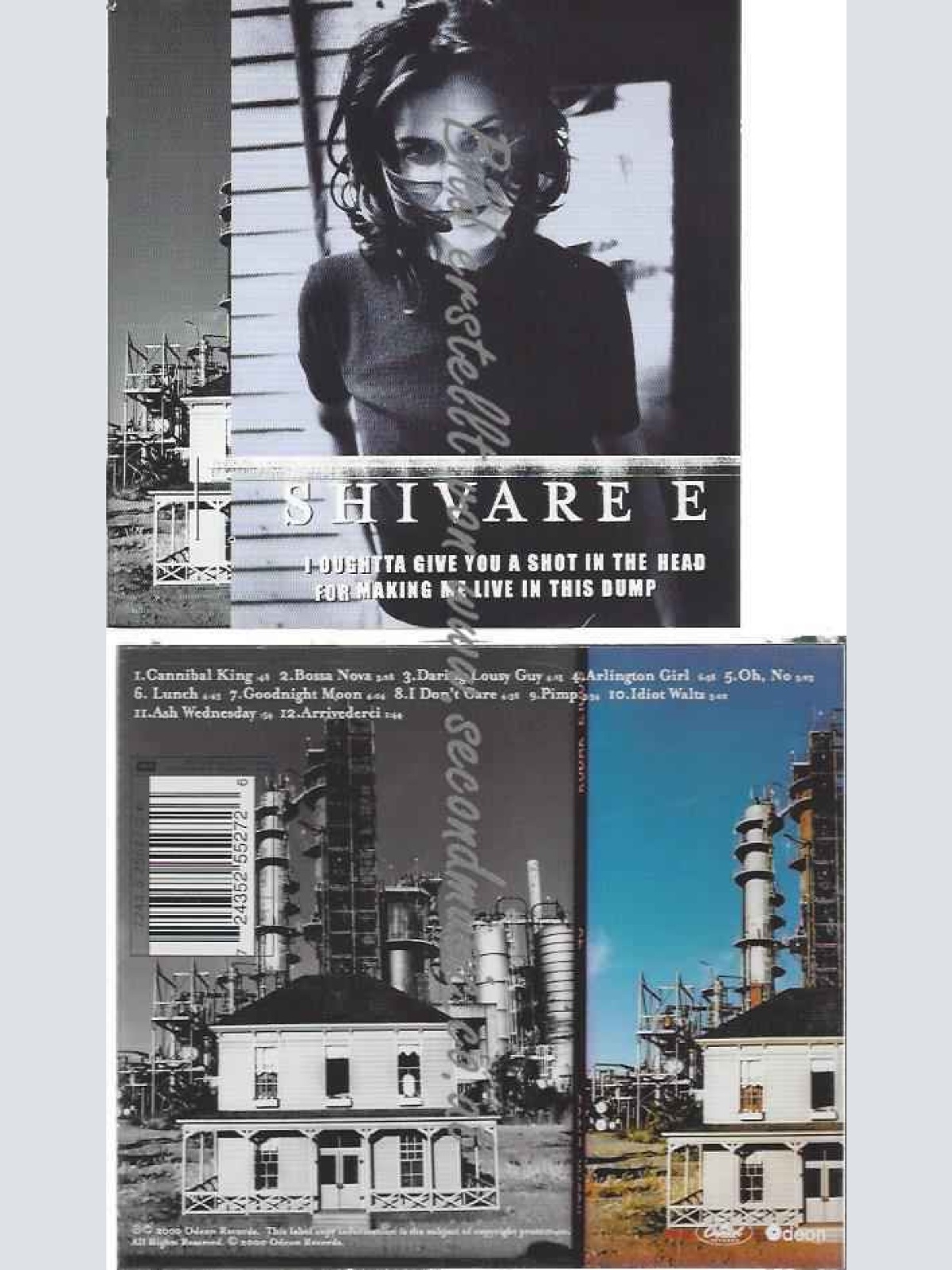 CD--Shivaree  --I Oughtta Give You a Shot in the Head