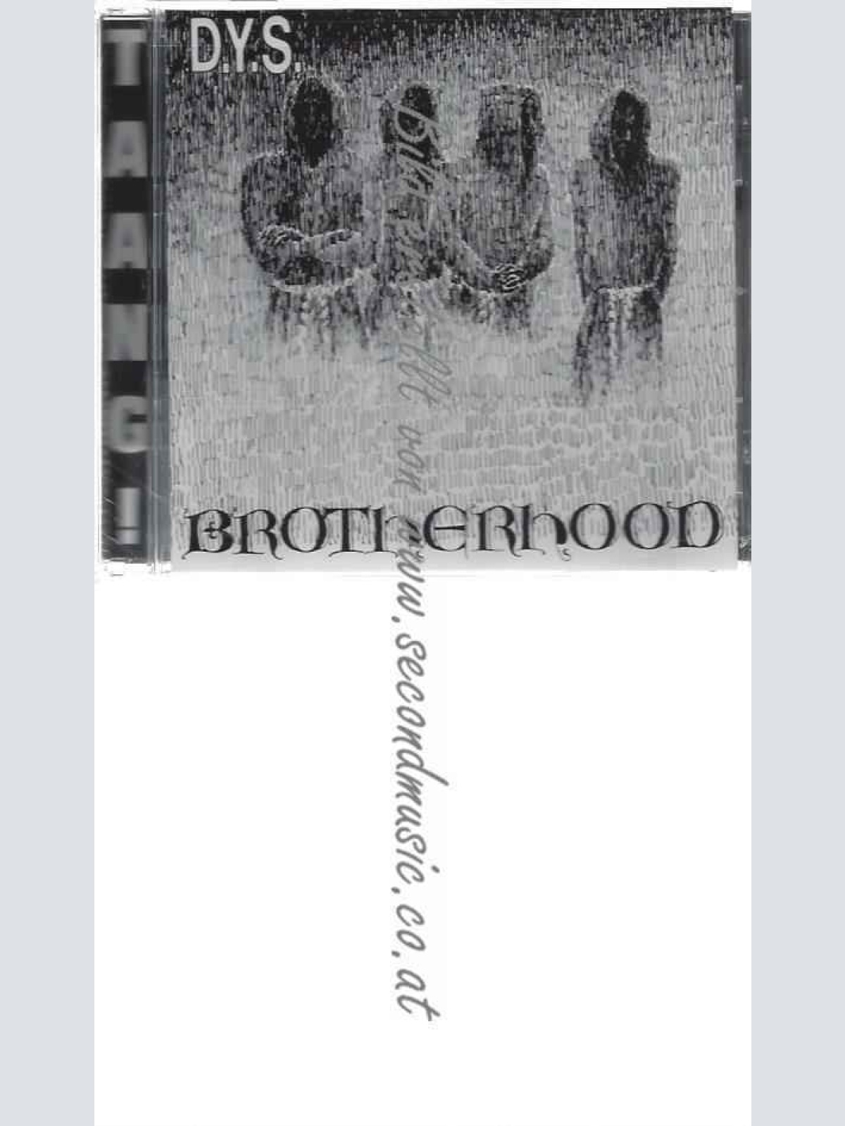 CD--D.Y.S.  --Brotherhood