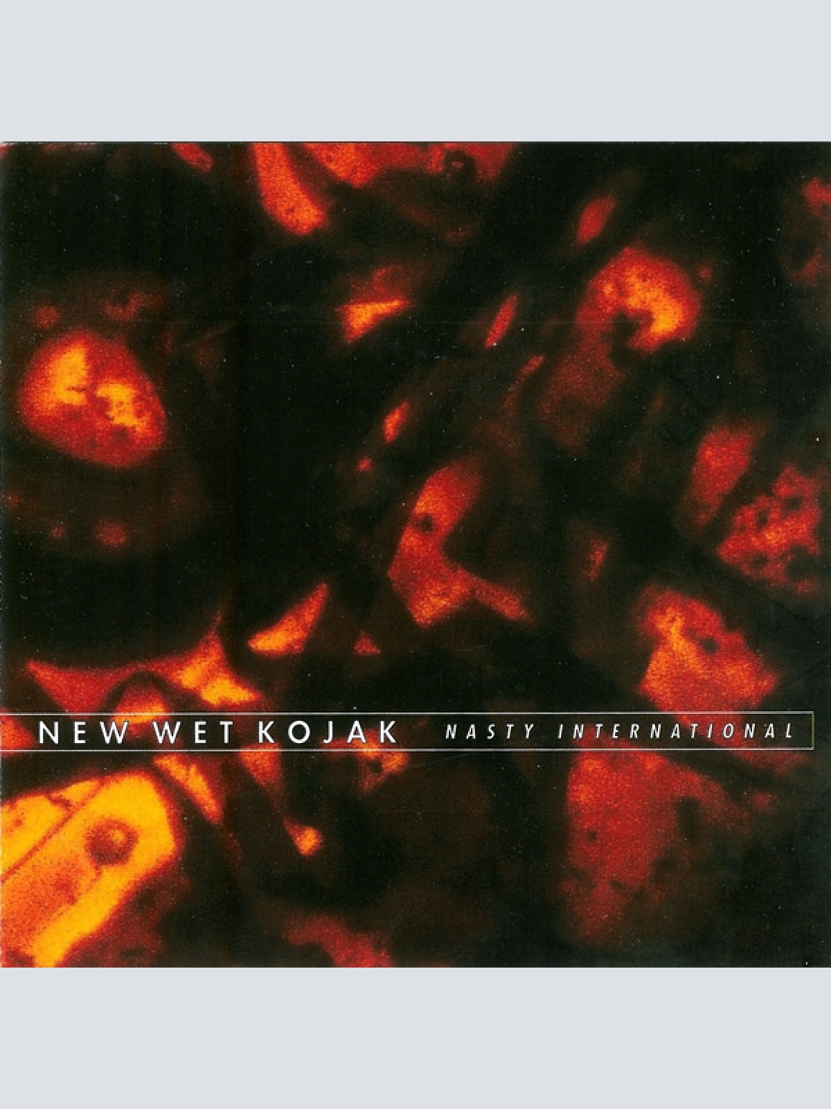 CD, Album New Wet Kojak - Nasty International