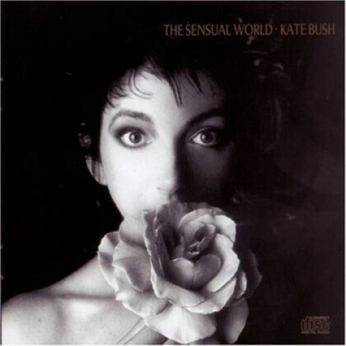 CD, Album Kate Bush - The Sensual World