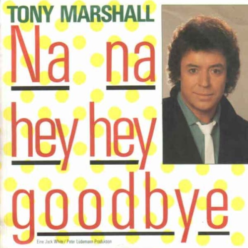 7", Single Tony Marshall - Na Na Hey Hey Goodbye